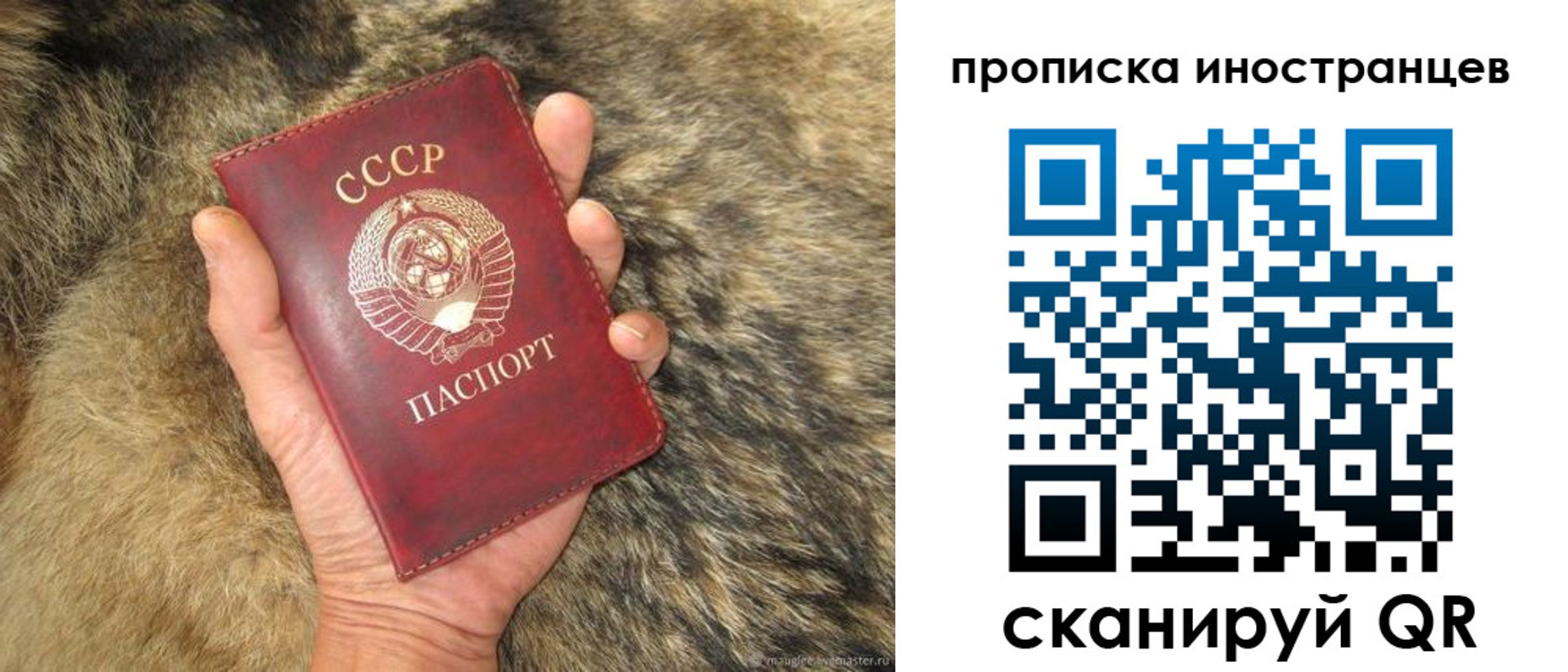 временная регистрация для школы в Копейске